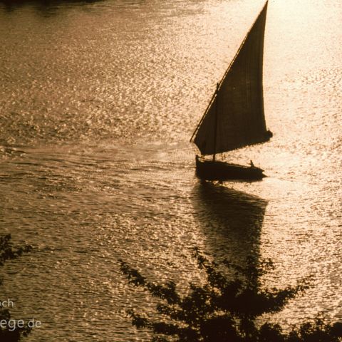 Aegypten 001 Felukke unter Segeln, Nil