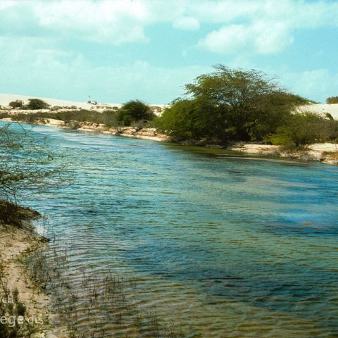 Kapverden 004 Traumstrand, Praia das Dunas, Boa Vista