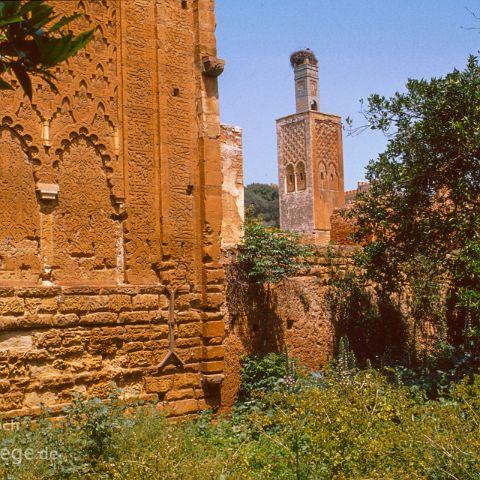 Marokko 006 Cellah