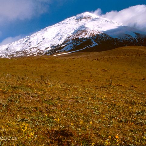 Ecuador 003 Cotopaxi Nationalpark, Hochland, Ecuador