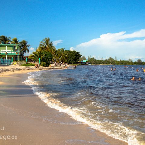 Playa Larga 001 Kuba, Cuba, Playa Larga, Bahia de Cochinos Schweinebucht