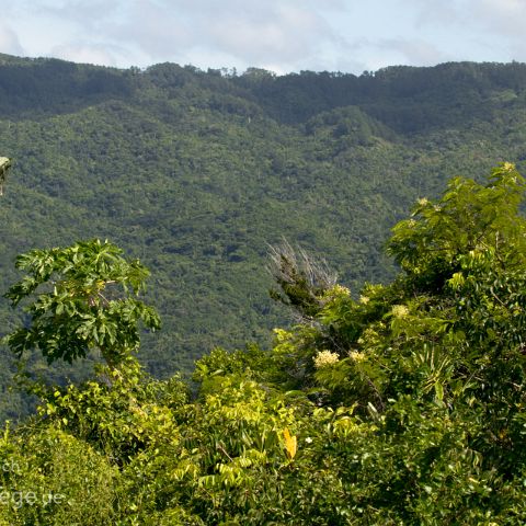 Sierra de Escambray 001 Kuba, Cuba, Parque Guanayara, Sierra de Escambray