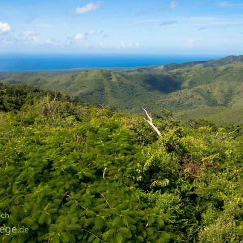 Sierra de Escambray 002 Kuba, Cuba, Parque Guanayara, Sierra de Escambray