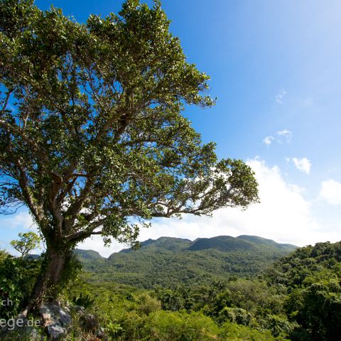 Sierra de Escambray 003 Kuba, Cuba, Parque Guanayara, Sierra de Escambray