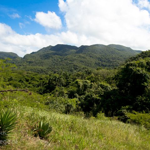 Sierra de Escambray 004 Kuba, Cuba, Parque Guanayara, Sierra de Escambray