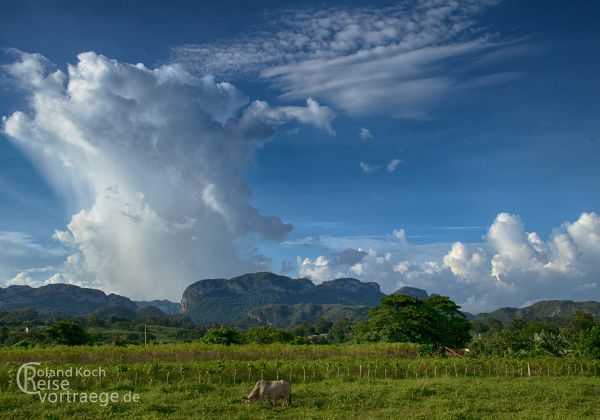 Vinales - Cajo Jutias - Kuba - Cuba - Bilder - Sehenswürdigkeiten - Fotos - Pictures 