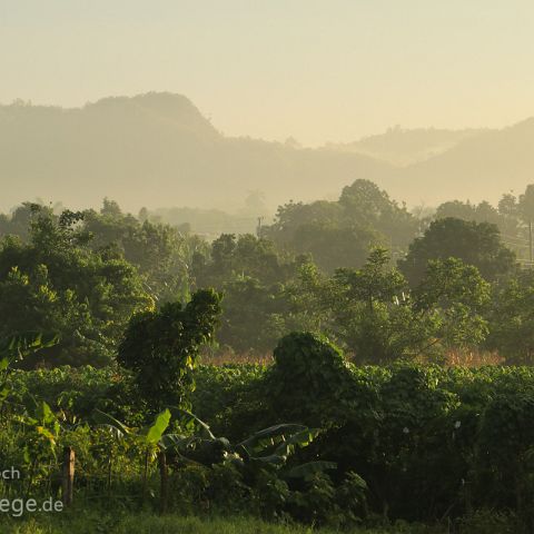 Vinales 003 Kuba, Cuba, Vinales, im Morgenlicht