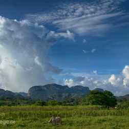 Vinales - Cajo Jutias - Kuba - Cuba - Bilder - Sehenswürdigkeiten - Fotos - Pictures Faszinierende Reisebilder aus Vinales, Kuba: Valle de Vinales Zentrum des Tabakanbaus, Cueva de los Indios, Cueva Santo...