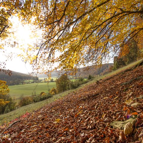 Eichstaett 003 Obereichstätt - Altmuehlpanoramaweg