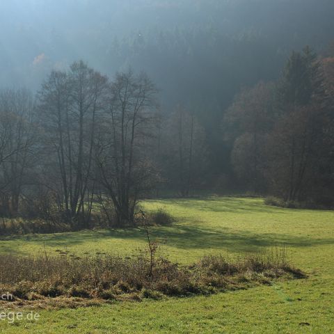 Laabertaeler 008 Breitenbrunn - Wissinger Laaber, Weichholzaue