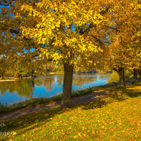 Neuburg Urdonautal 003 Neuburg an der Donau - Herbst an der Donau