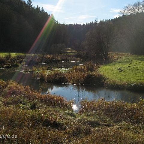 Laabertaeler 005 Breitenbrunn - Weisse Laaber oder Unterbuerger Laaber, Furt