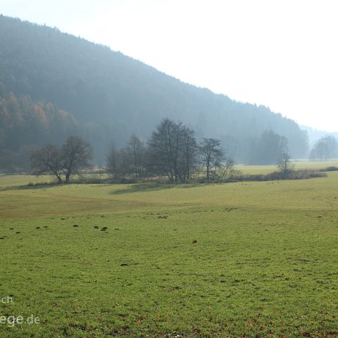 Laabertaeler 007 Breitenbrunn - Wissinger Laaber, Feuchtwiese