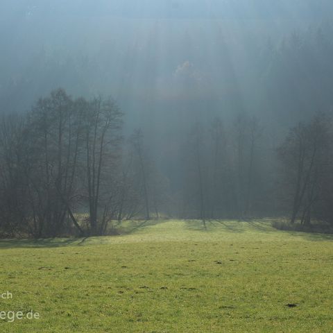 Laabertaeler 009 Breitenbrunn - Wissinger Laaber, Sonnenstrahlen im Talgrund