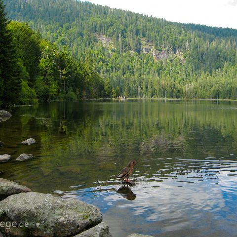 Bayerischer Wald 001 Arbersee, Bayerischer Wald, Bayern, Deutschland, Bavaria, Germany