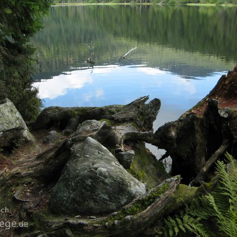 Bayerischer Wald 002 Arbersee, Bayerischer Wald, Bayern, Deutschland, Bavaria, Germany