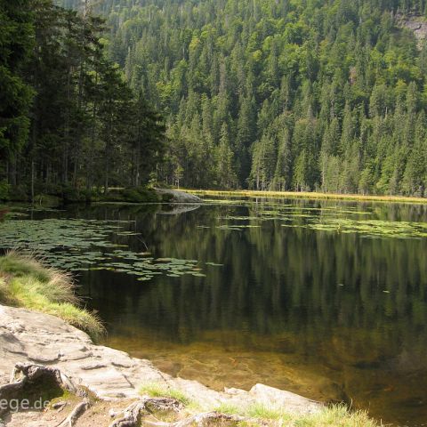 Bayerischer Wald 003 Arbersee, Bayerischer Wald, Bayern, Deutschland, Bavaria, Germany