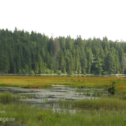 Bayerischer Wald 004 Arbersee, Bayerischer Wald, Bayern, Deutschland, Bavaria, Germany