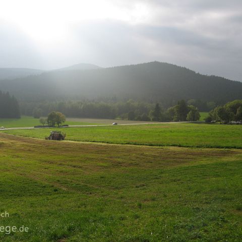 Bayerischer Wald 006 Bayerischer Wald, Bayern, Deutschland, Bavaria, Germany