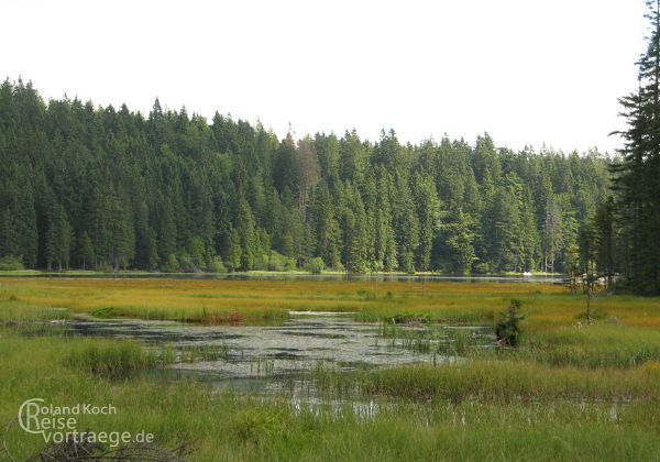 Bayerischer Wald Nationalpark - Bilder - Sehenswürdigkeiten - Ausflugsziele 