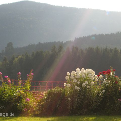 Bayerischer Wald 005 , Bayerischer Wald, Bayern, Bayern, Deutschland, Bavaria, Germany