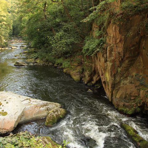 Harz 007 Bodetal, Harz NP, Sachsen-Anhalt, Deutschland, Germany