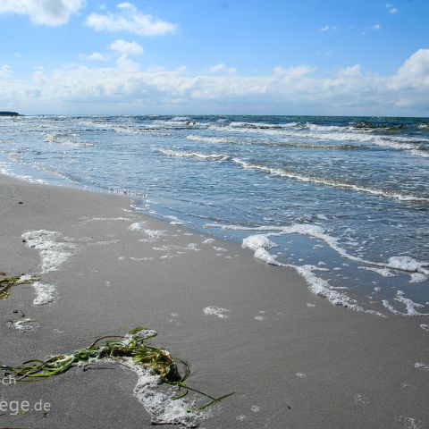 Hiddensee 006 Strand Vitte, Hiddensee, Mecklenburg-Vorpommern, Deutschland, Germany