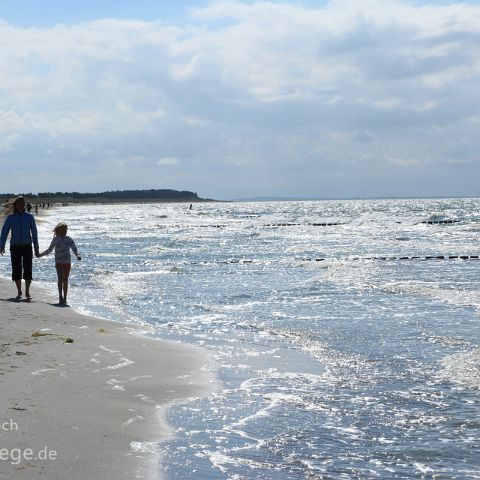 Hiddensee 007 Strand Vitte, Hiddensee, Mecklenburg-Vorpommern, Deutschland, Germany