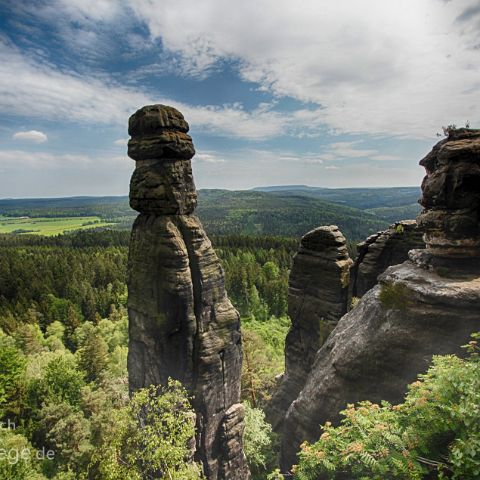 Sachsen 001 Barbarine, Saechsische Schweiz NP, Sachsen, Deutschland , Germany