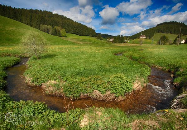 Schwarzwald - Bilder - Sehenswürdigkeiten - Ausflugsziele - Stockfotos 