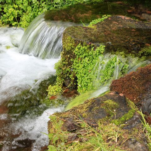 Quelle Bachaue im Haferlohrtal, Spessart, Hessen, Deutschland, Germany