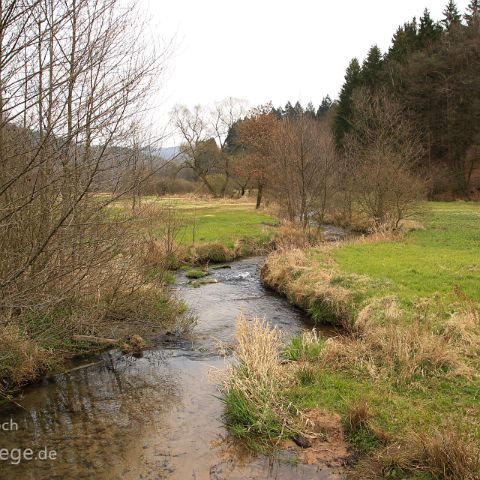 naturbelassener Bachlauf Bachaue im Haferlohrtal, Spessart, Hessen, Deutschland, Germany