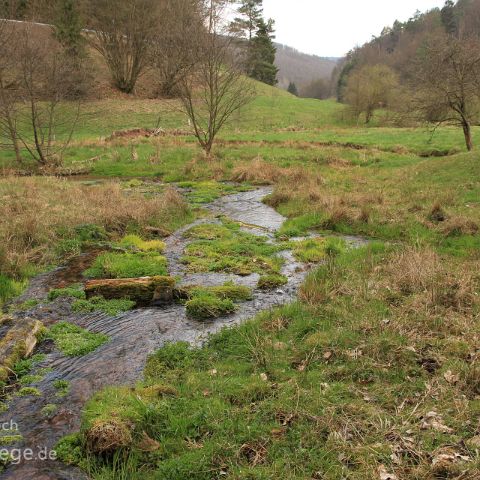 Quelle Bachaue im Haferlohrtal, Spessart, Hessen, Deutschland, Germany