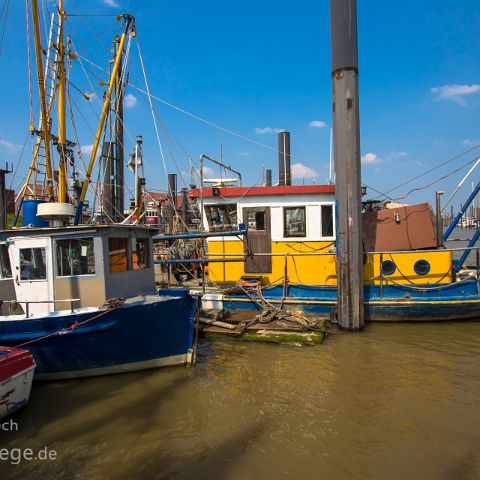 Wattenmeer (NP) Ostfriesland 008 Fischkutter, Hafen Jemgum, Ostfriesland,, Niedersachsen, Deutschland, Germany