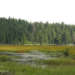 Bayerischer Wald Nationalpark - Bilder - Sehenswürdigkeiten - Ausflugsziele Der Nationalpark Bayerischer Wald bildet zusammen mit dem Böhmerwald das größte zusammenhängende Waldgebiet Europas. Der...