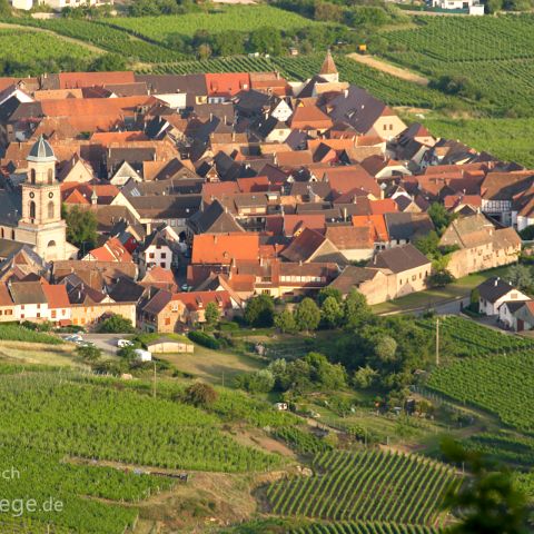 Elsass 002 Orschwiller, Elsass, Elsace, Frankreich, France