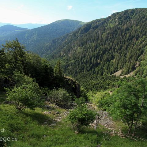 Vogesen 001 Col de la Schlucht, Vogesen, Lothringen, Frankreich, France