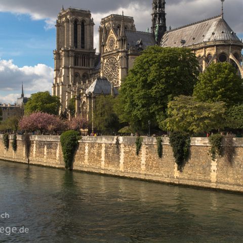 Paris 008 Notre Dame de Paris, Ile de la Cité, Paris, Frankreich, France