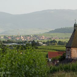 Elsass - Bilder - Sehenswürdigkeiten - Fotos - Pictures - Stockfotos Faszinierende Reisebilder aus Strassburg, Colmar, Isenheimer Altar, Eguisheim, Schloss Haute Königsburg,...