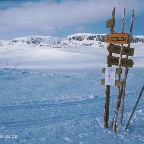 Norwegen 003 Hardangervidda, Norwegen / Norway / Norge