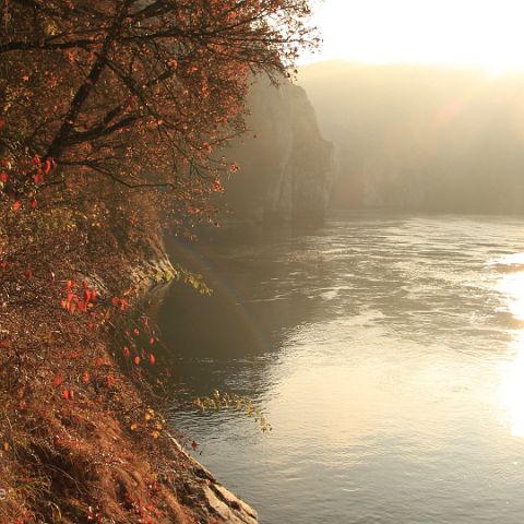 Panorama 16x9 008 Morgennebel, Donaudurchbruch, Kloster Weltenburg, Kelheim, NP Altmuehltal,