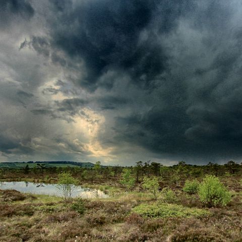 Panorama 2x1 006 Gewitter im Schwarzen Moor