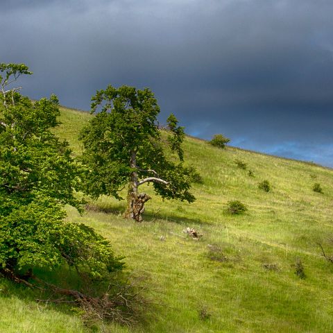 Panorama 2x1 010 Buchen, Wolkenformation, Lange Rhoen, Biosphaerenreservat, Rhoen