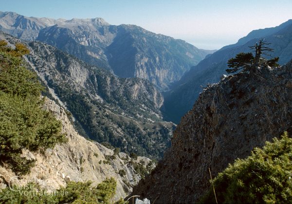 Kreta - Bilder - Sehenswürdigkeiten - Fotos - Pictures - Stockfotos 