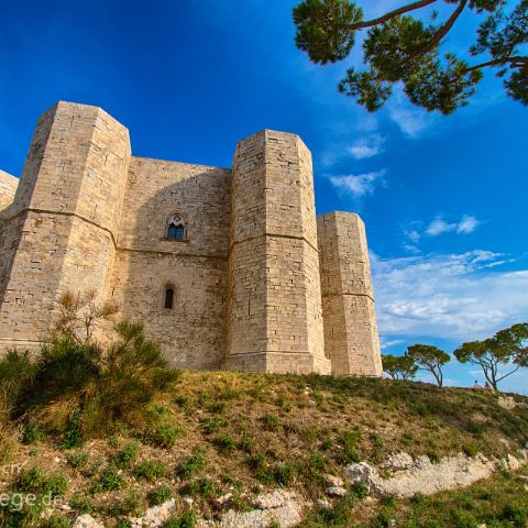 Region Bari 004 Castel del Monte, achteckige Burg von Kaiser Friedrich II Hohenstaufen, Andria, Apulien, Italien, Italia, Italy