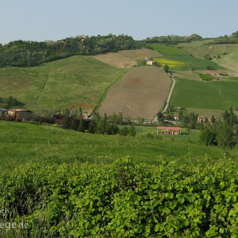 Emilia Romagna 008 Colli Bolognese, Emilia Romagna, Italien, Italia, Italy