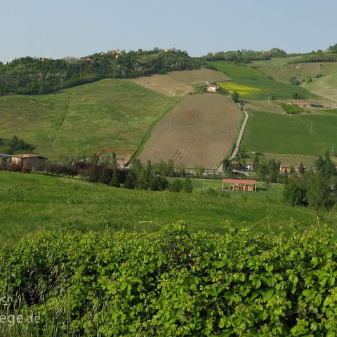 Emilia Romagna 008 Colli Bolognese, Emilia Romagna, Italien, Italia, Italy