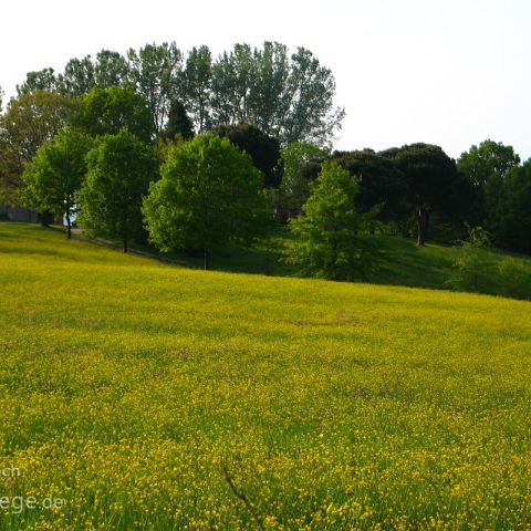 Emilia Romagna 009 Colli Bolognese, Emilia Romagna, Italien, Italia, Italy