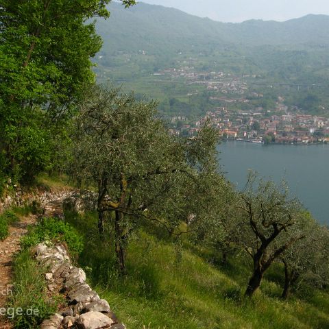 Italien Top Highlights 007 Monte Isola, Iseo See, Lombardei, Italien, Italia, Italy