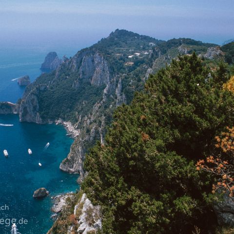 Sorrento 006 Capri, Kampanien, Campania, Italien, Italia, Italy